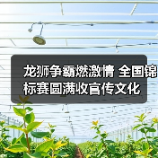 龙狮争霸燃激情 全国锦标赛圆满收官传文化(图4) 龙狮争霸燃激情 全国锦标赛圆满收官传文化(图4)