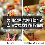 为何投保计划调整?适当性管理案例解析保障消费者权益(图4) 为何投保计划调整?适当性管理案例解析保障消费者权益(图4)