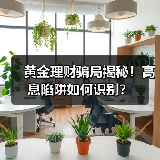 黄金理财骗局揭秘！高息陷阱如何识别？（图2）