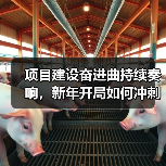项目建设奋进曲持续奏响，新年开局如何冲刺？