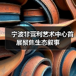 宁波非营利艺术中心首展聚焦生态叙事(图4) 宁波非营利艺术中心首展聚焦生态叙事(图4)