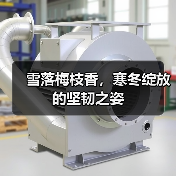 雪落梅枝香,寒冬绽放的坚韧之姿(图4) 雪落梅枝香,寒冬绽放的坚韧之姿(图4)