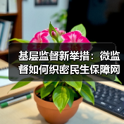 基层监督新举措：微监督如何织密民生保障网