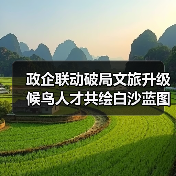 政企联动破局文旅升级 候鸟人才共绘白沙蓝图(图4) 政企联动破局文旅升级 候鸟人才共绘白沙蓝图(图4)