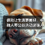 保险让生活更美好,中融人寿公益活动温暖人心(图2) 保险让生活更美好,中融人寿公益活动温暖人心(图2)
