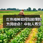 红色精神如何赋能保险为民使命？中融人寿党建活动启示