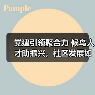 党建引领聚合力 候鸟人才助振兴，社区发展如何突破？（图2）