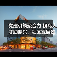 党建引领聚合力 候鸟人才助振兴，社区发展如何突破？