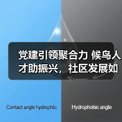 党建引领聚合力 候鸟人才助振兴，社区发展如何突破？（图3）