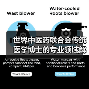 世界中医药联合会传统医学博士的专业领域解析（图3）