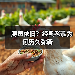 涛声依旧？经典老歌为何历久弥新（图2）