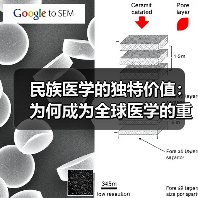 民族医学的独特价值：为何成为全球医学的重要组成部分？（图2）