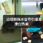 边境明珠冰雪节引爆港澳台热潮（图3）