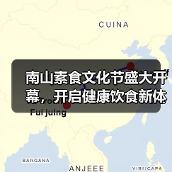 南山素食文化节盛大开幕，开启健康饮食新体验（图4）