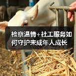 检察温情+社工服务如何守护未成年人成长（图2）
