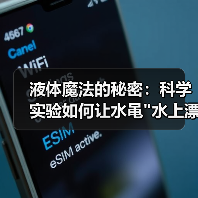 液体魔法的秘密:科学实验如何让水黾 液体魔法的秘密:科学实验如何让水黾