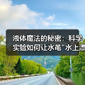 液体魔法的秘密:科学实验如何让水黾 液体魔法的秘密:科学实验如何让水黾