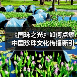《国珠之光》如何点燃中国珍珠文化传播新引擎?(图3) 《国珠之光》如何点燃中国珍珠文化传播新引擎?(图3)