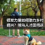 银发力量如何助力乡村振兴?候鸟人才田间送技(图3) 银发力量如何助力乡村振兴?候鸟人才田间送技(图3)