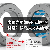 巾帼力量如何带动社区共融？候鸟人才共绘幸福图