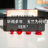 听雨多年,玉兰为何依旧开?(图3) 听雨多年,玉兰为何依旧开?(图3)