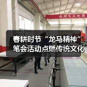 春耕时节“龙马精神”笔会活动点燃传统文化传承