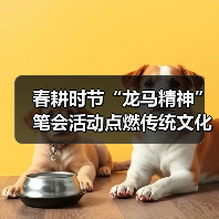 春耕时节“龙马精神”笔会活动点燃传统文化传承(图3) 春耕时节“龙马精神”笔会活动点燃传统文化传承(图3)
