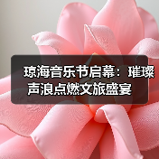 琼海音乐节启幕：璀璨声浪点燃文旅盛宴（图2）