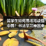 留学生如何用毛笔读懂中国?书法学习神器来了(图4) 留学生如何用毛笔读懂中国?书法学习神器来了(图4)