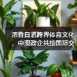 浓香白酒跨界体育文化,中澳政企共绘国际交流新图景(图3) 浓香白酒跨界体育文化,中澳政企共绘国际交流新图景(图3)