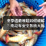 冬季通勤难题如何破解?电动车安全系统大揭秘(图3) 冬季通勤难题如何破解?电动车安全系统大揭秘(图3)