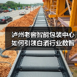 泸州老窖智能包装中心如何引领白酒行业数智化转型？