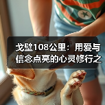 戈壁108公里：用爱与信念点亮的心灵修行之旅