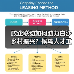 政企联动如何助力白沙乡村振兴？候鸟人才工作站开启合作新篇章（图3）