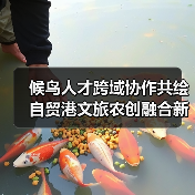 候鸟人才跨域协作共绘自贸港文旅农创融合新蓝图(图3) 候鸟人才跨域协作共绘自贸港文旅农创融合新蓝图(图3)