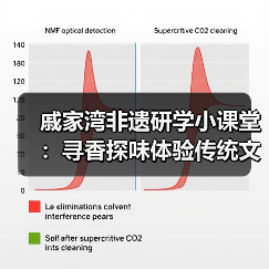 戚家湾非遗研学小课堂：寻香探味体验传统文化（图1）
