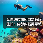 公园城市如何自然有序生长?成都实践揭示城市发展新范式(图2) 公园城市如何自然有序生长?成都实践揭示城市发展新范式(图2)