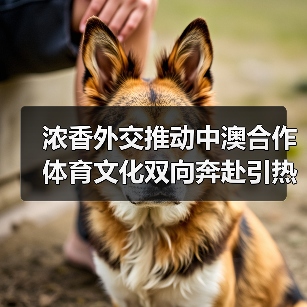 浓香外交推动中澳合作 体育文化双向奔赴引热议(图3) 浓香外交推动中澳合作 体育文化双向奔赴引热议(图3)