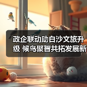政企联动助白沙文旅升级 候鸟聚智共拓发展新局(图4) 政企联动助白沙文旅升级 候鸟聚智共拓发展新局(图4)