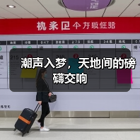 潮声入梦，天地间的磅礴交响