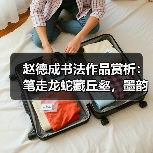赵德成书法作品赏析：笔走龙蛇藏丘壑，墨韵生风见精神（图4）