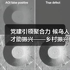 党建引领聚合力 候鸟人才助振兴——乡村振兴新路径探索