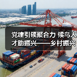 党建引领聚合力 候鸟人才助振兴——乡村振兴新路径探索（图2）