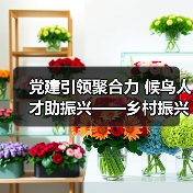 党建引领聚合力 候鸟人才助振兴——乡村振兴新路径探索（图4）