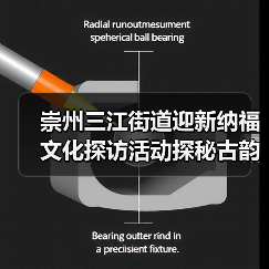 崇州三江街道迎新纳福文化探访活动探秘古韵（图4）