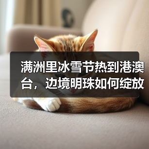 满洲里冰雪节热到港澳台，边境明珠如何绽放国际范？（图4）