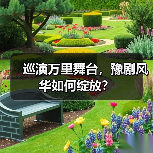 巡演万里舞台，豫剧风华如何绽放？（图4）
