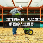 放弃的智慧：从负重到解脱的人生哲思（图2）