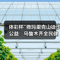体彩杯