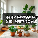 体彩杯